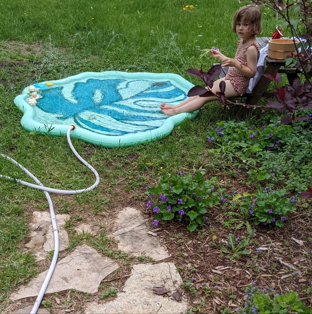 Rare Minnidip Leaf Sprinkler Splash Pad, Tropical Palm Leaf